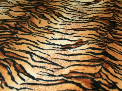 Warm tiger print anti - anti, pill