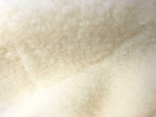 100 lambs wool - 100%, fleece