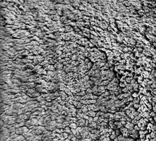 Grey teddy fleece fabric - fleece, (